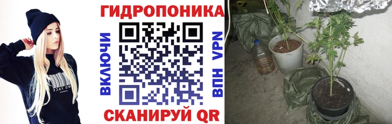 Бошки Шишки Bruce Banner  это телеграм  Одинцово 